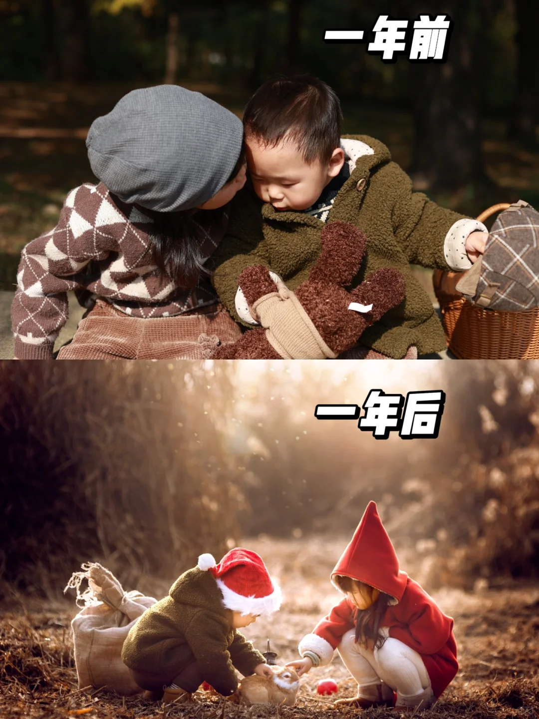 薅羊毛❗️我是如何做到不花一分钱学摄影❗️