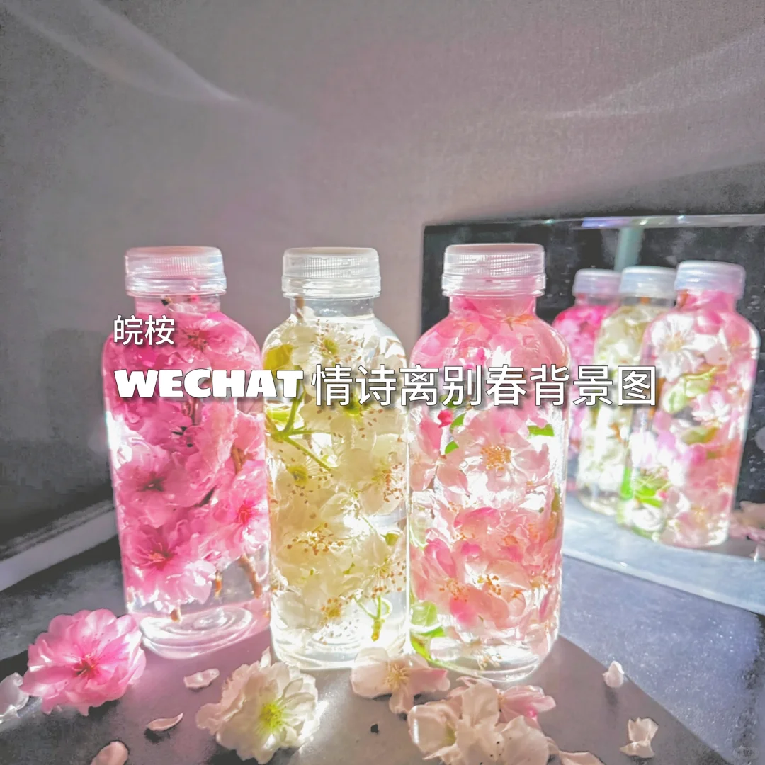 梨落江南岸背景图