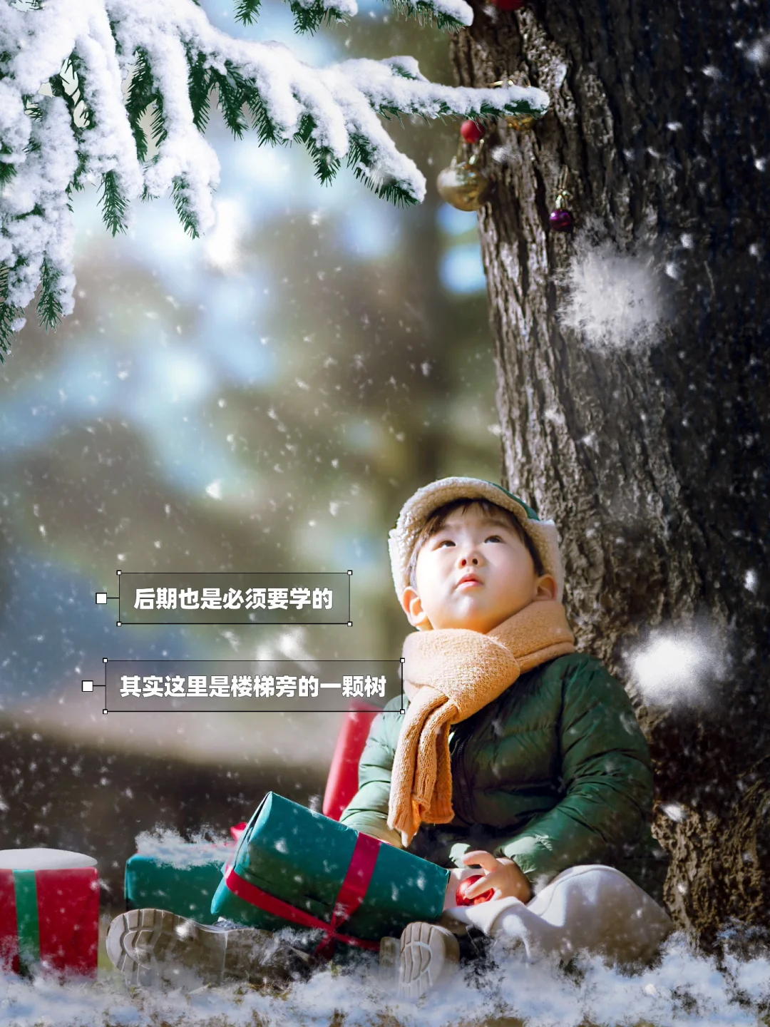 薅羊毛❗️我是如何做到不花一分钱学摄影❗️