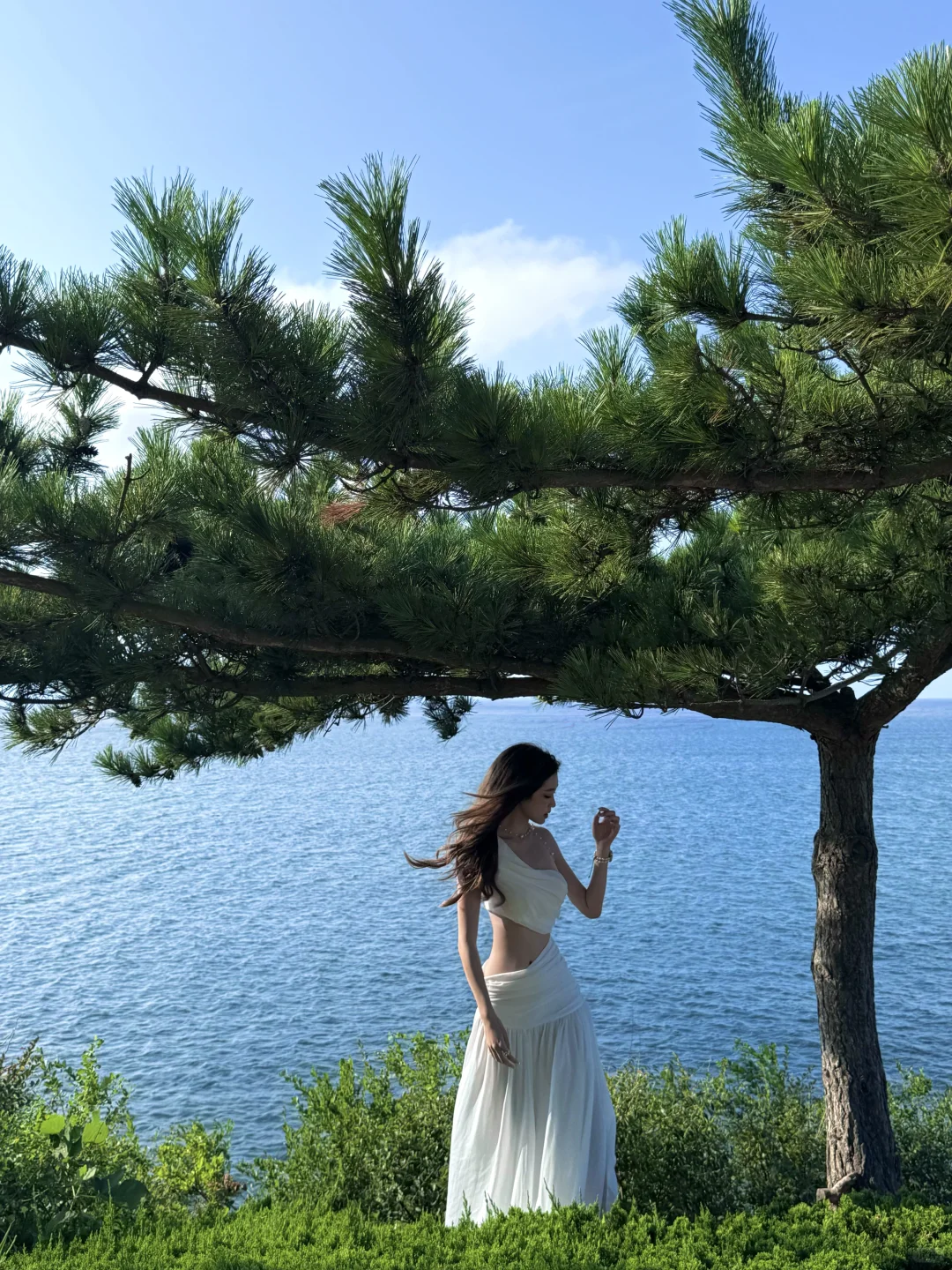 🍃🌊小岛日记