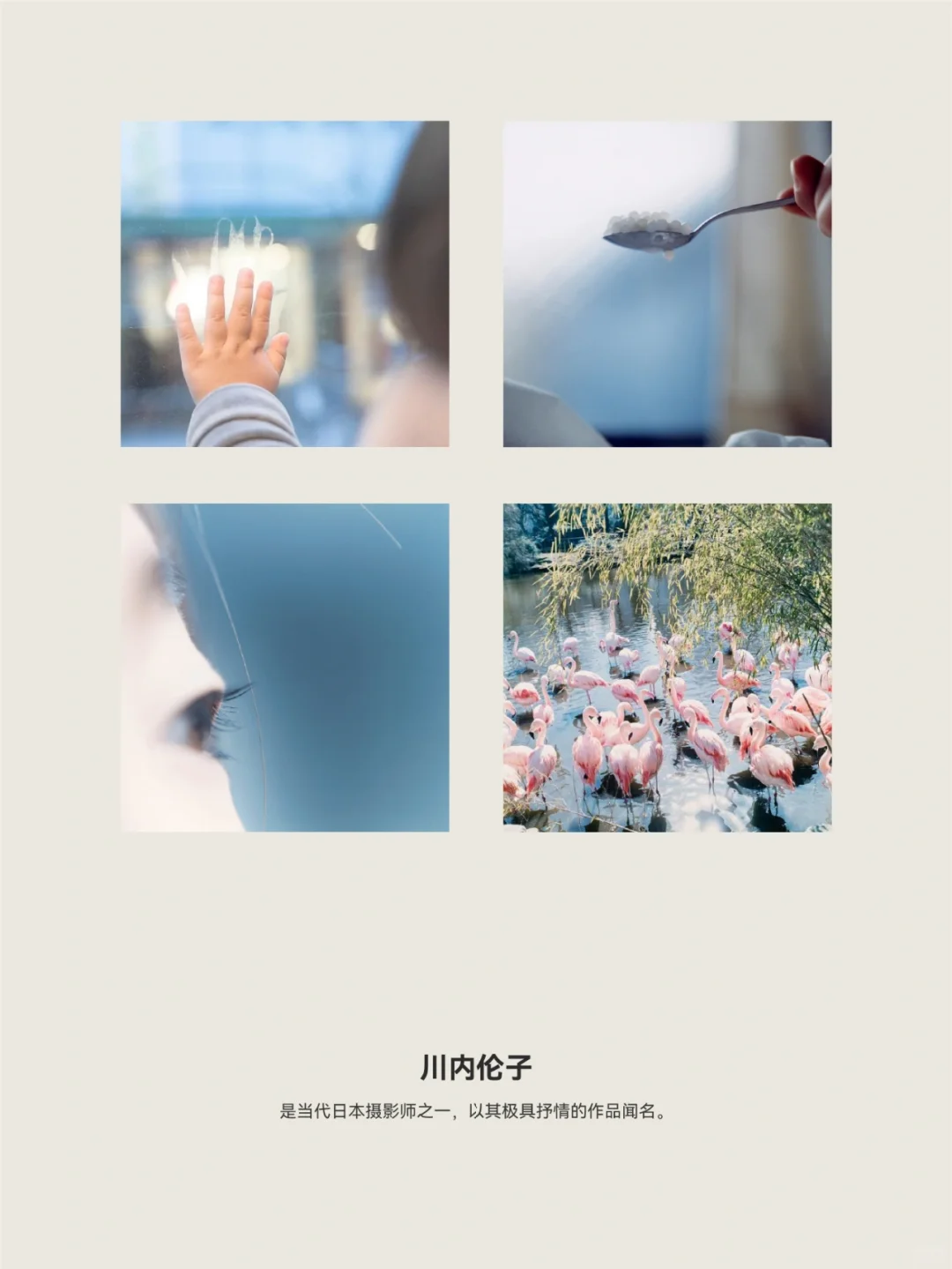 十二个审美收集网站大公开