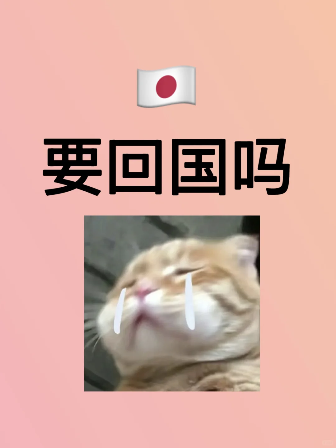 想回国，好纠结，求建议