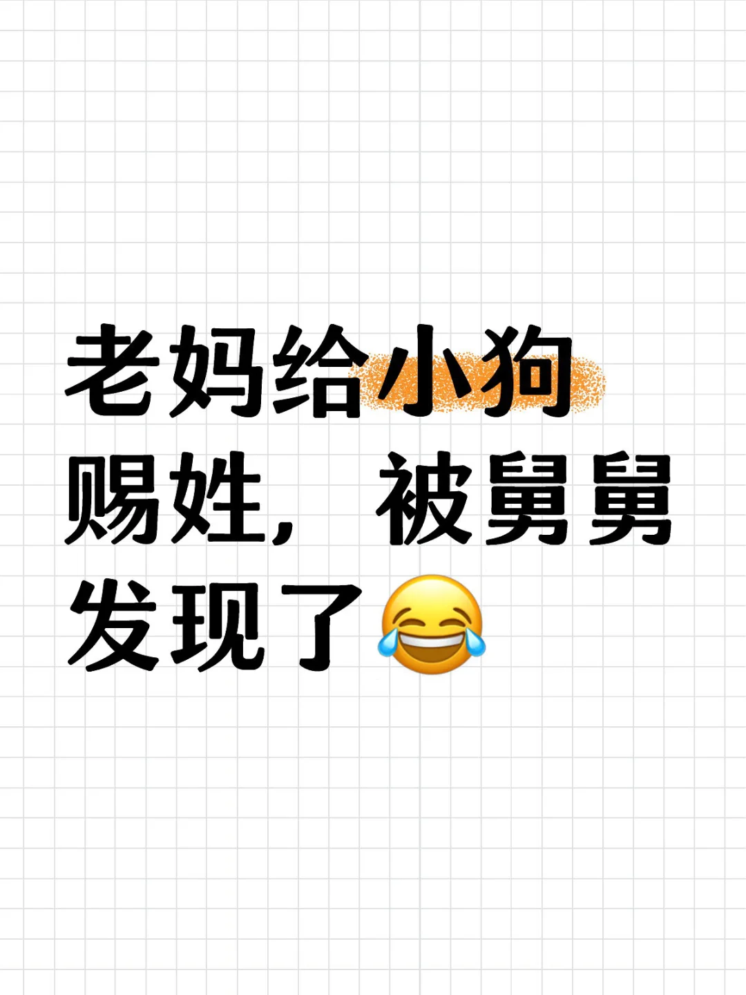 麻麻很疼爱狗子，给赐了个自己的姓，还取了正儿八经的名字，平时就是好几个名字随机叫