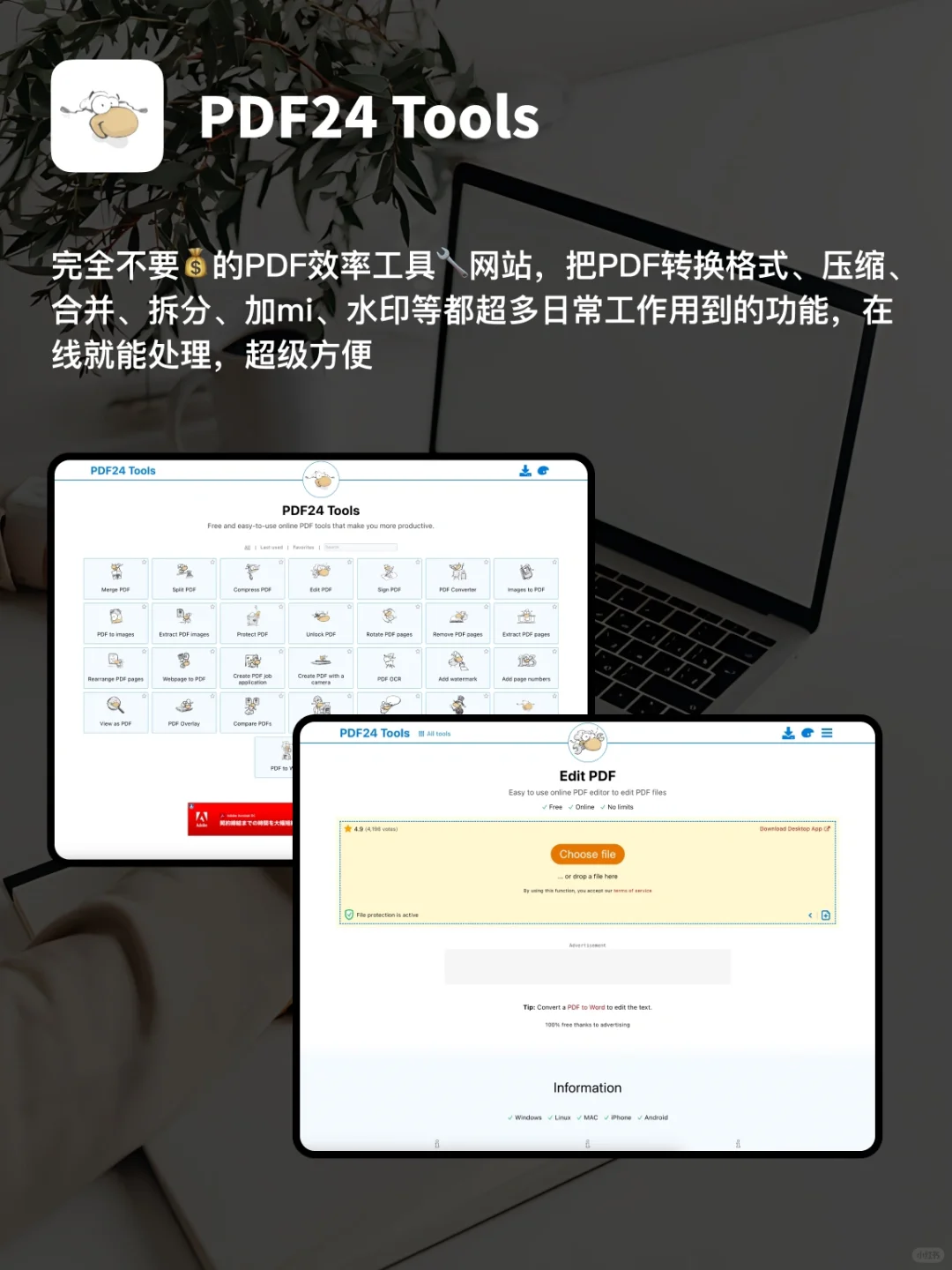 这3个工具网站，可以让你工作效率翻10倍！
