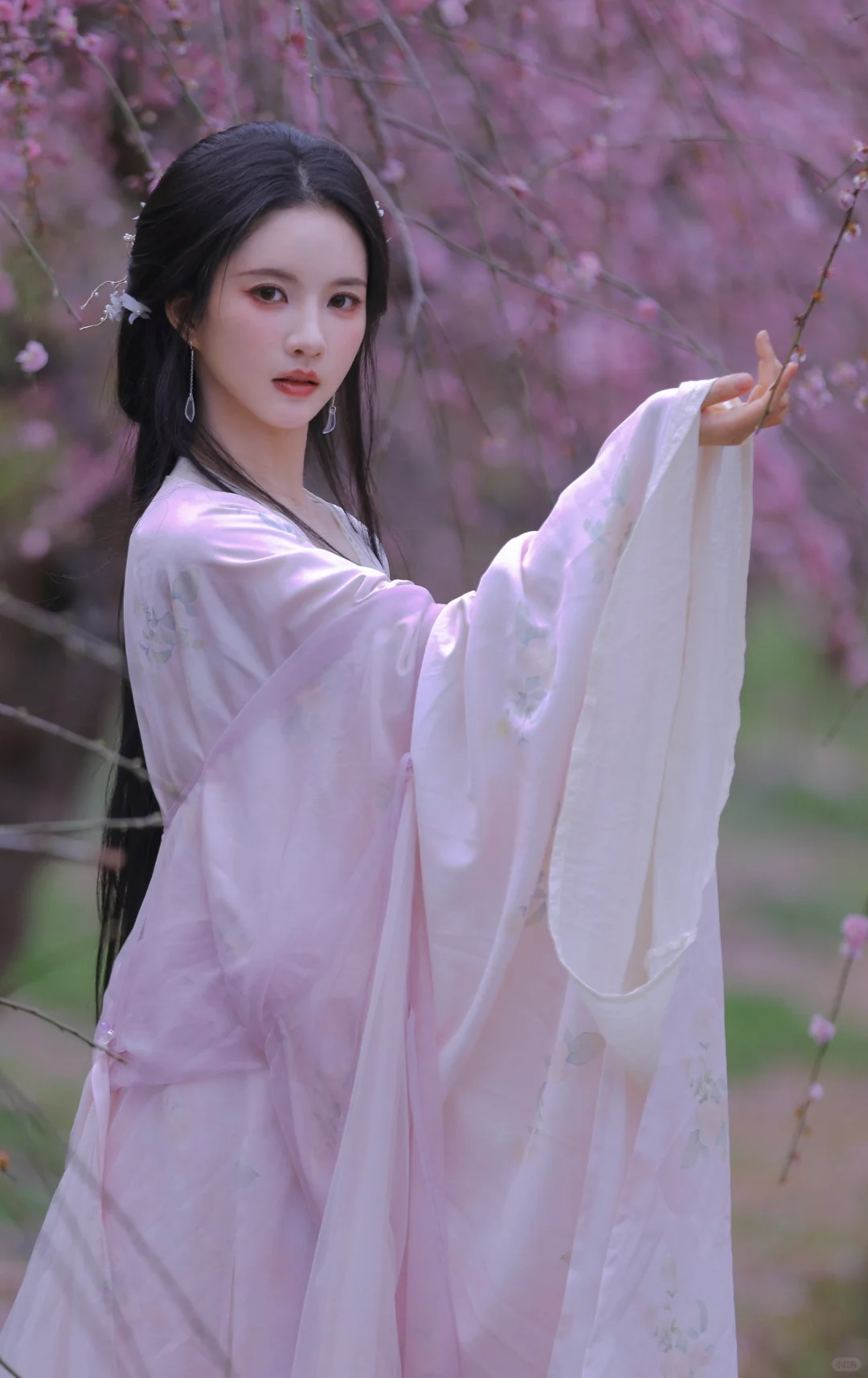 「刘些宁」 • 桃花美人
