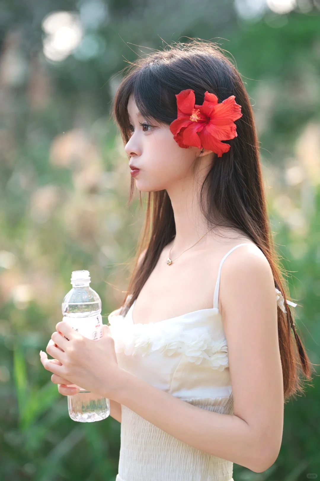 治愈系森林逆光写真