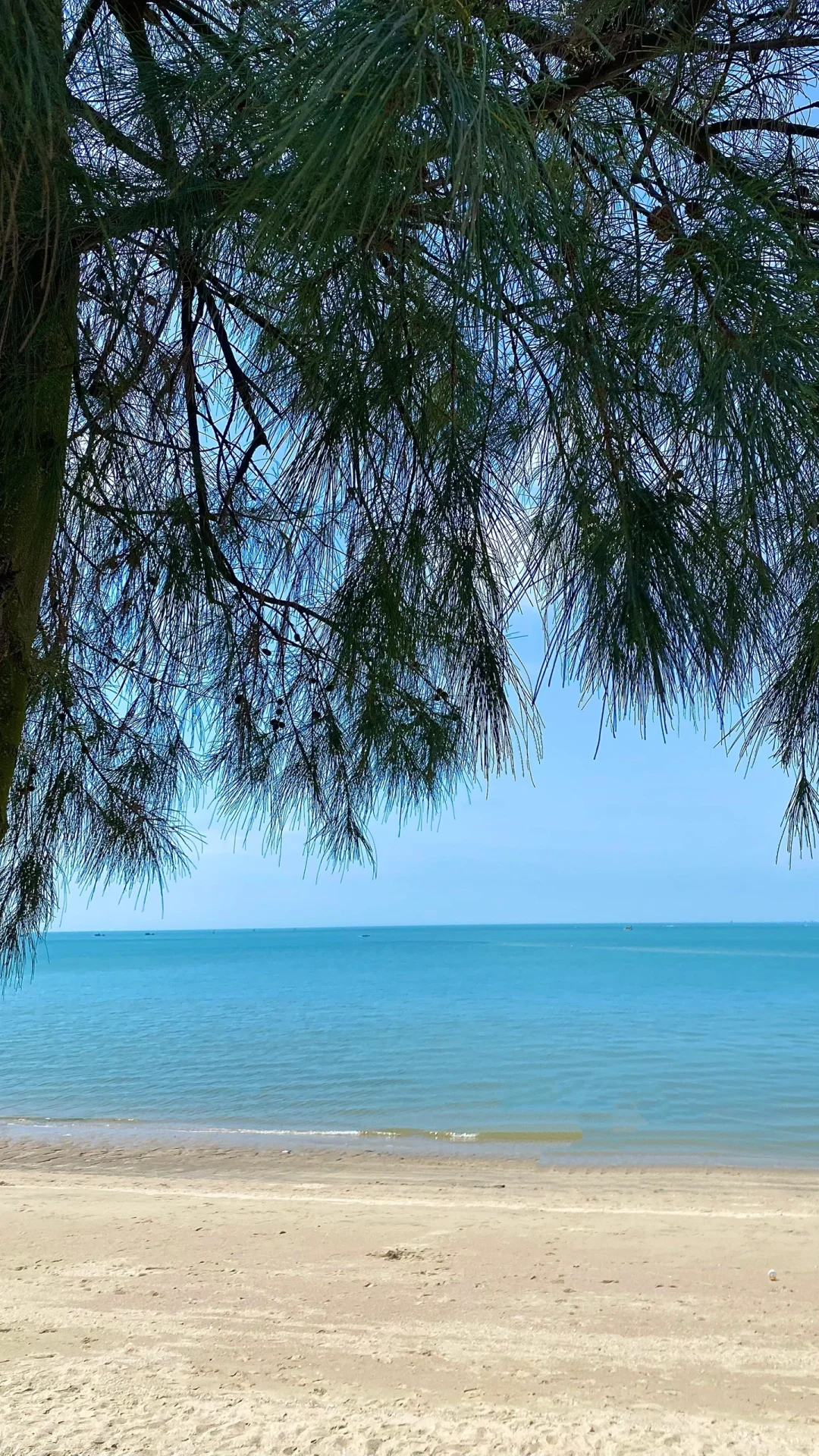 h（appy） 海👋荧光绿比基尼的夏日吸睛法则