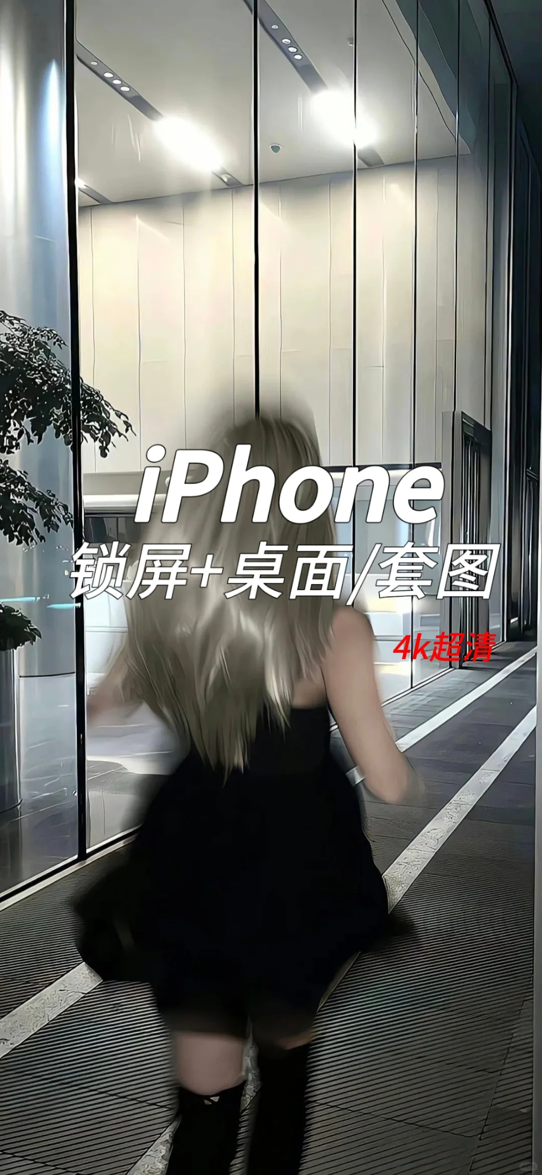 爱与自由，二八分！