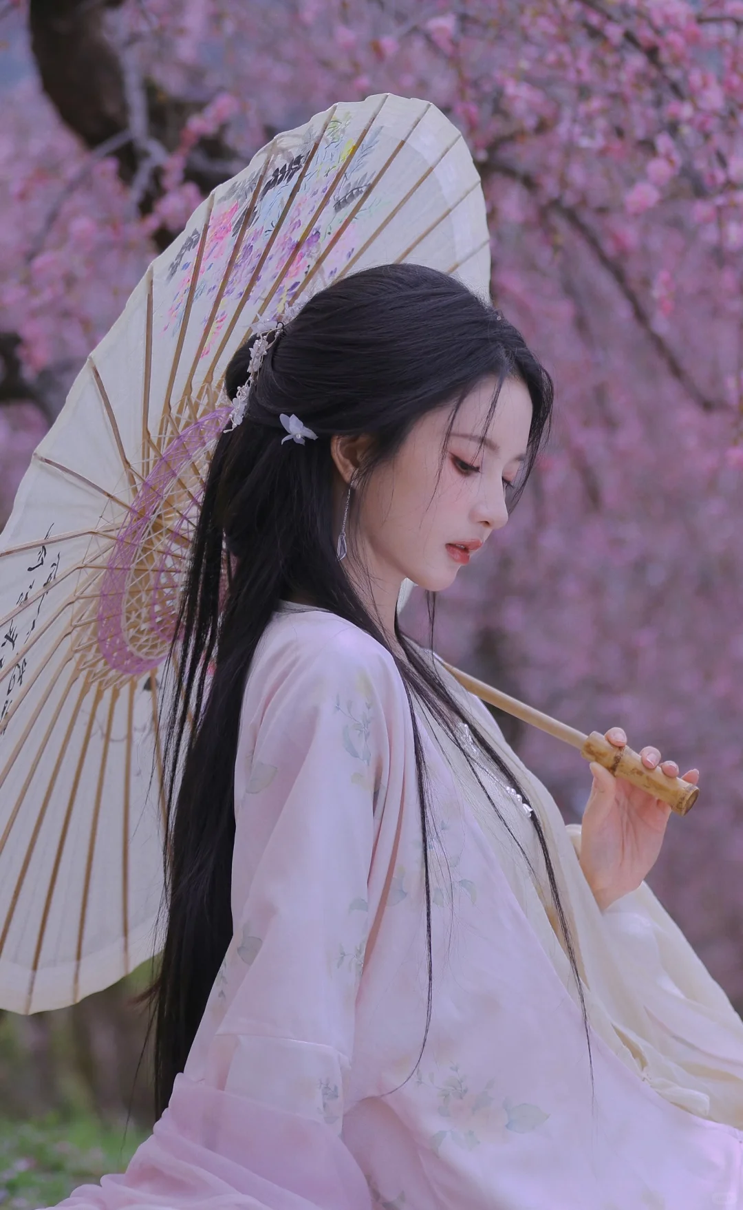 「刘些宁」 • 桃花美人