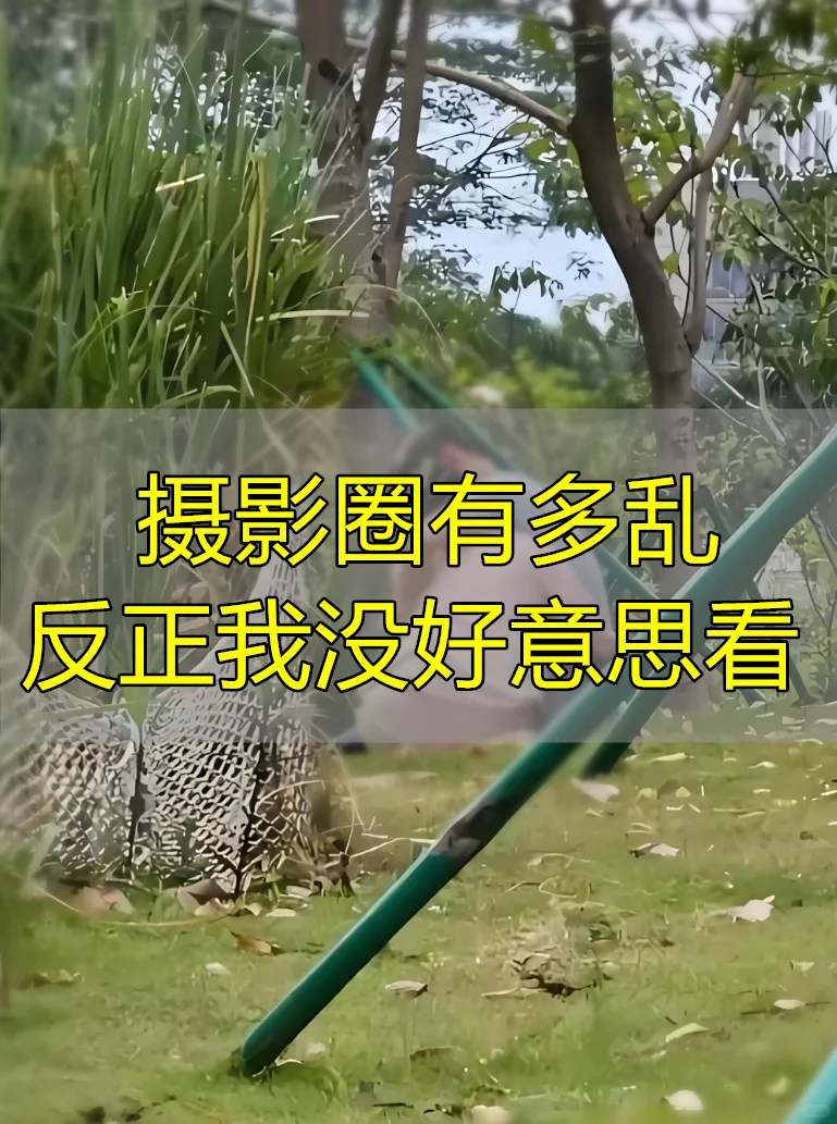 摄影圈的阴暗面｜入坑5年劝你清醒