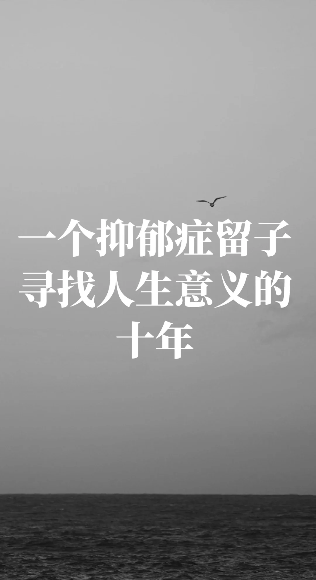 🇳🇱一个抑郁症留子寻找人生意义的十年