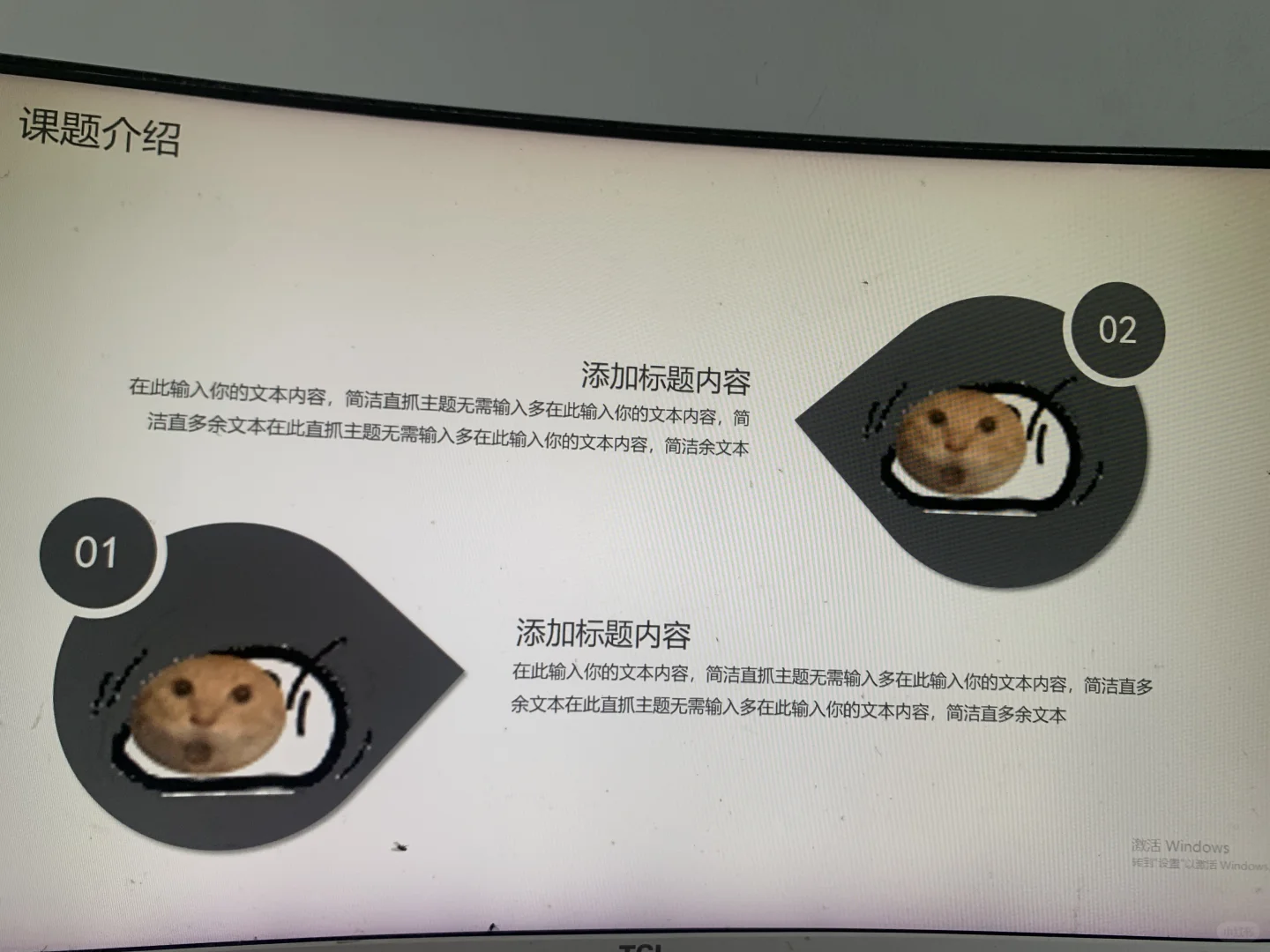 动态表情包耄耋猫通用ppt模板