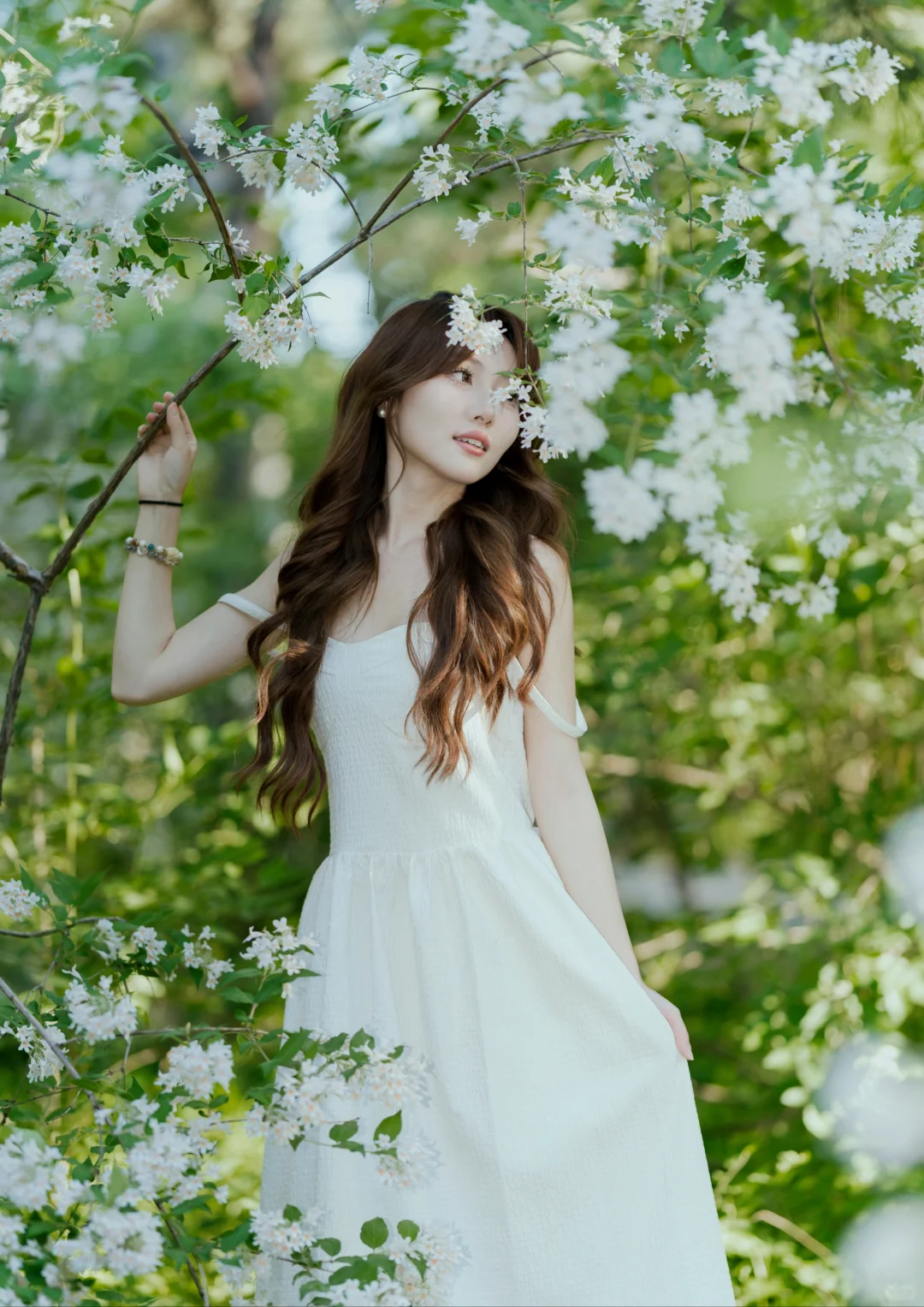 花季女人花