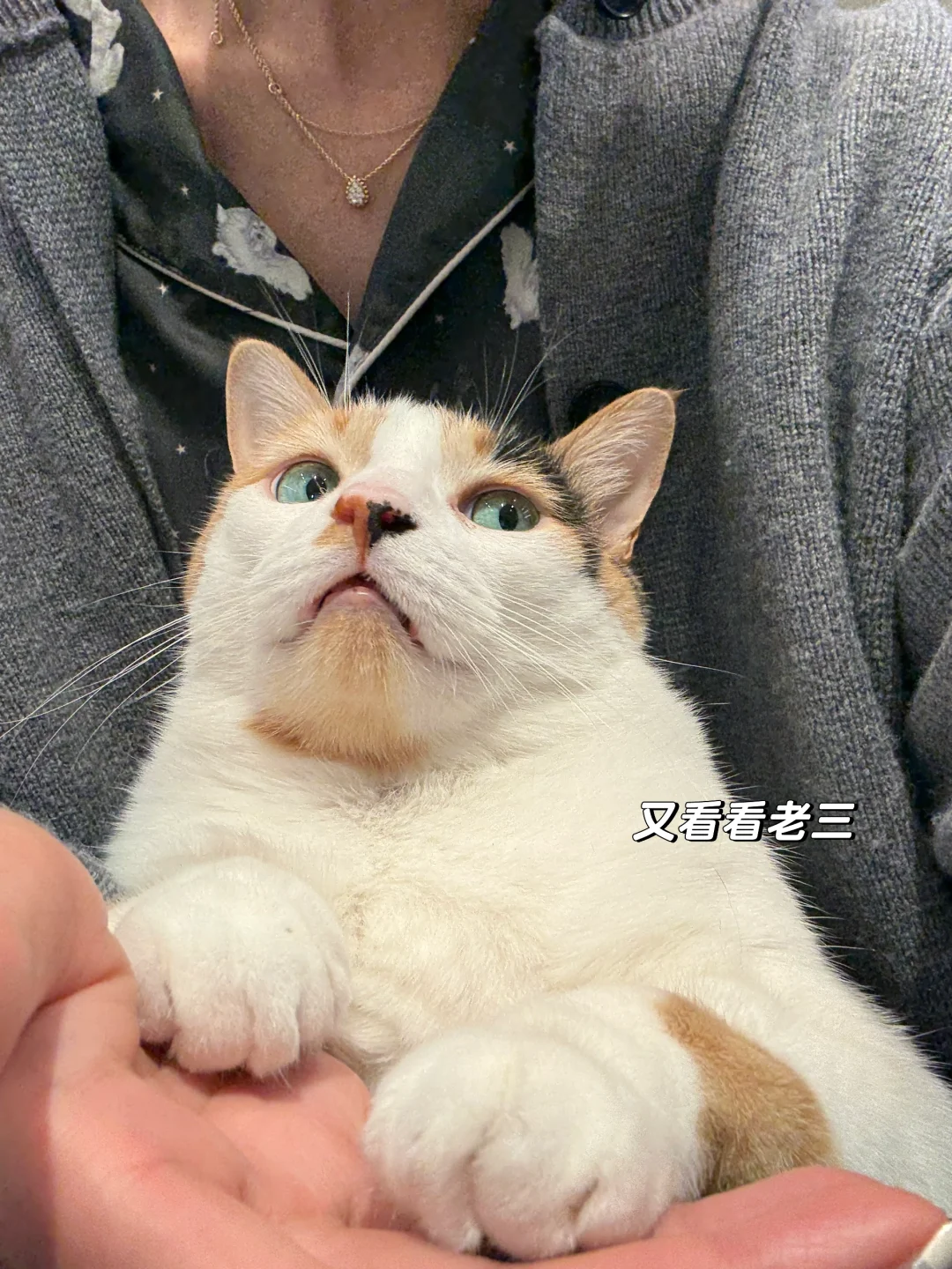 肌肉女生 浑身是劲！