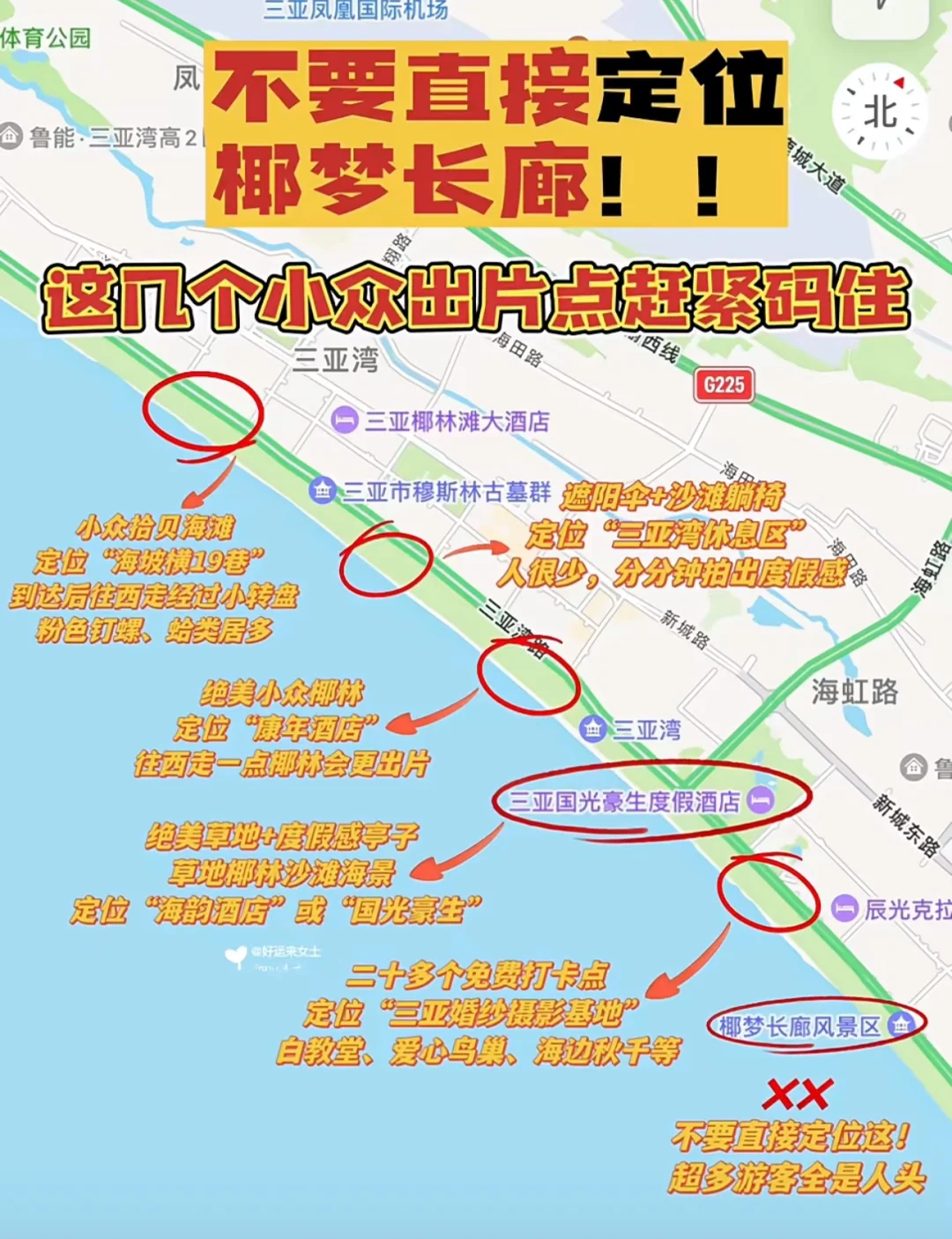 今天的氛围感是椰梦长廊给的🌴