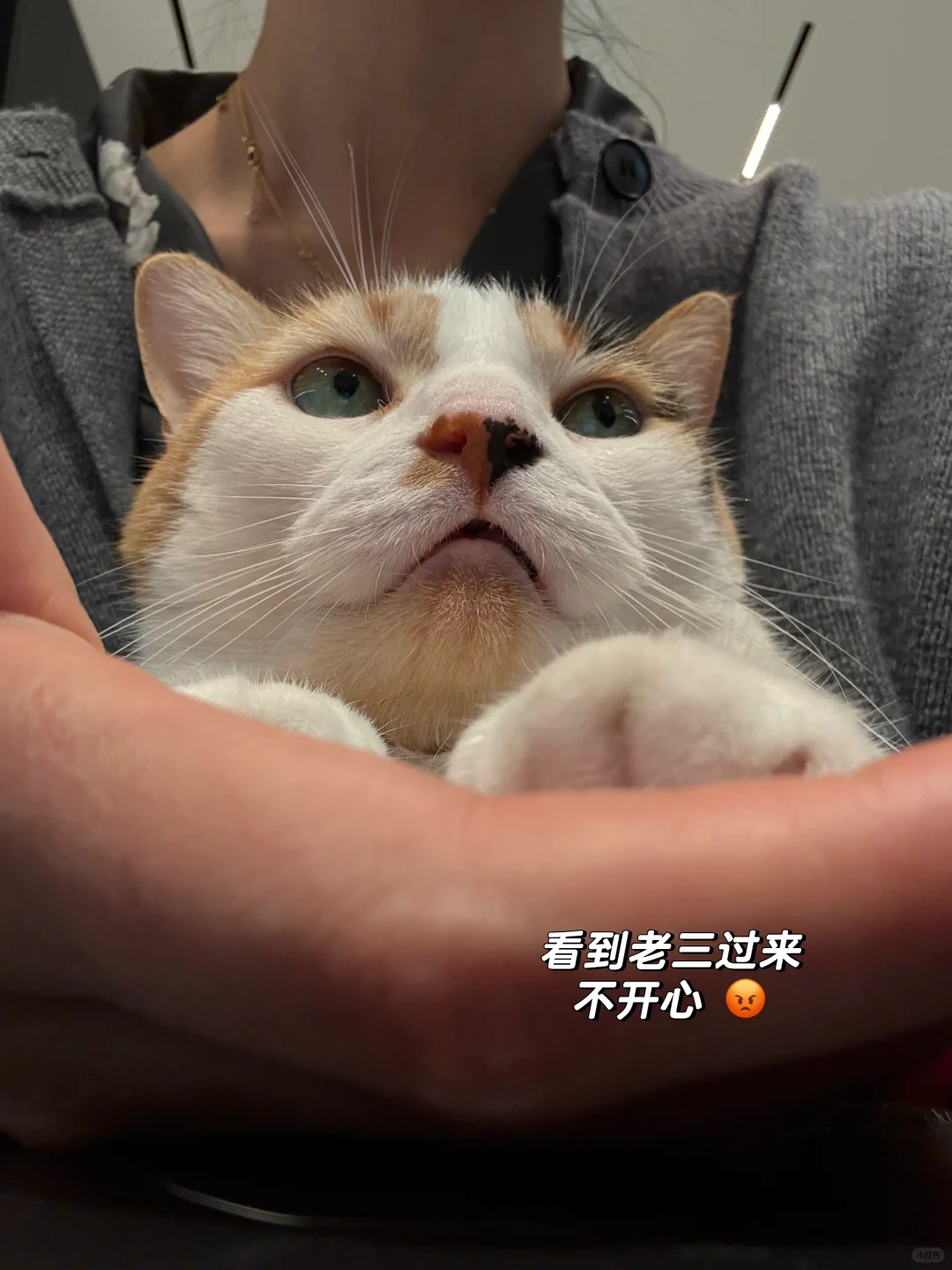 肌肉女生 浑身是劲！
