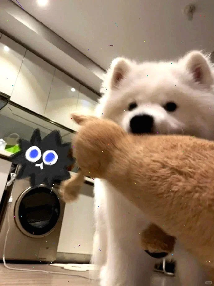 超萌狗狗拯救世界