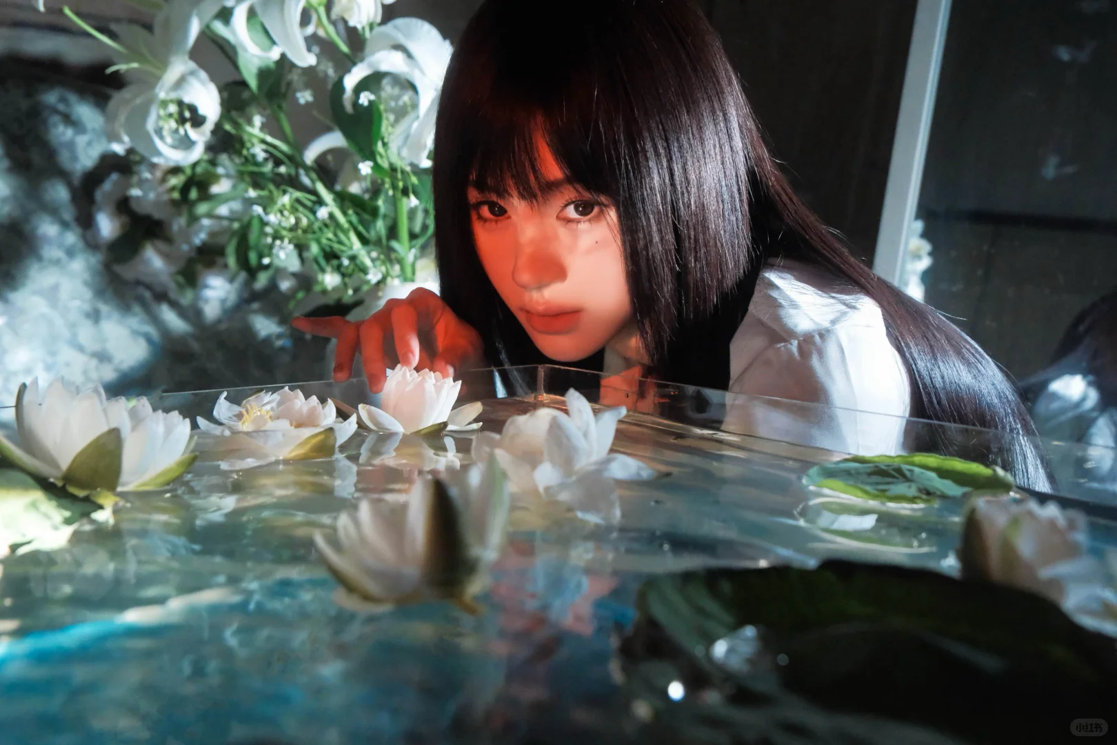 我镜头下的鞠婧祎图文版