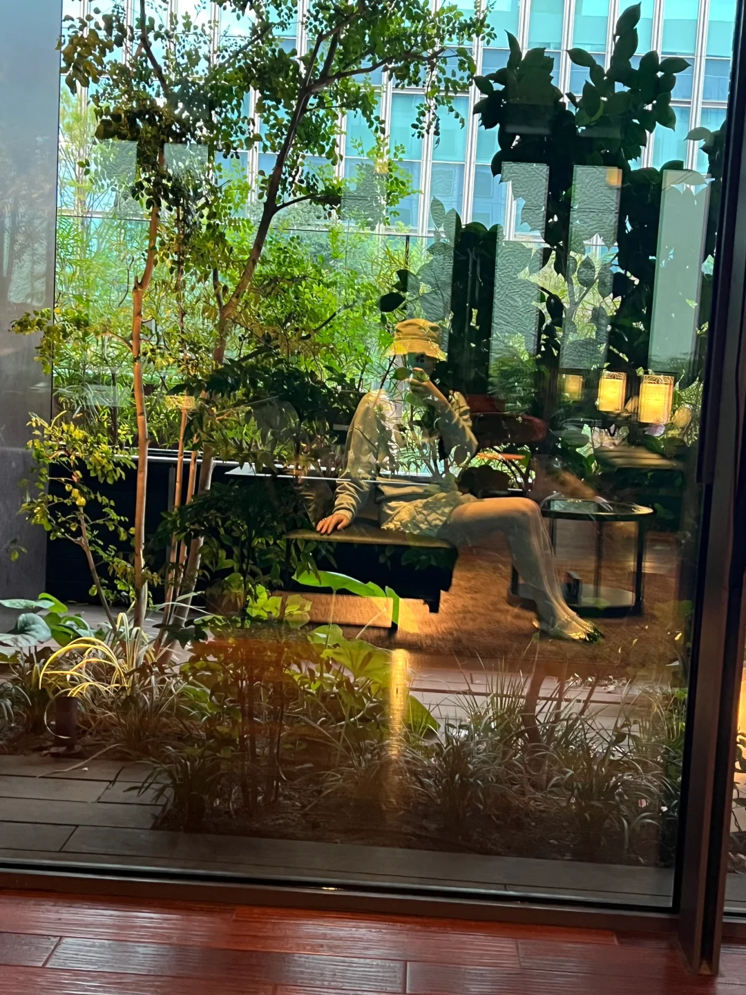 关键词 “蔓藤花”