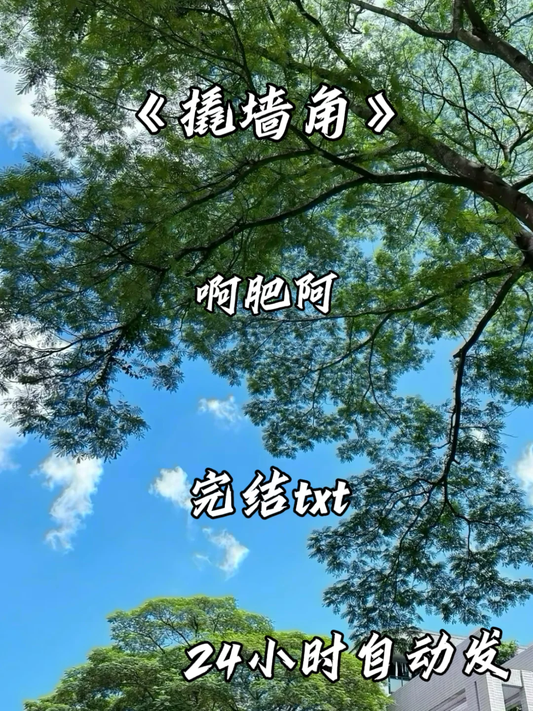 啊肥阿的撬墙角 完结 真不要太好看姐妹强推