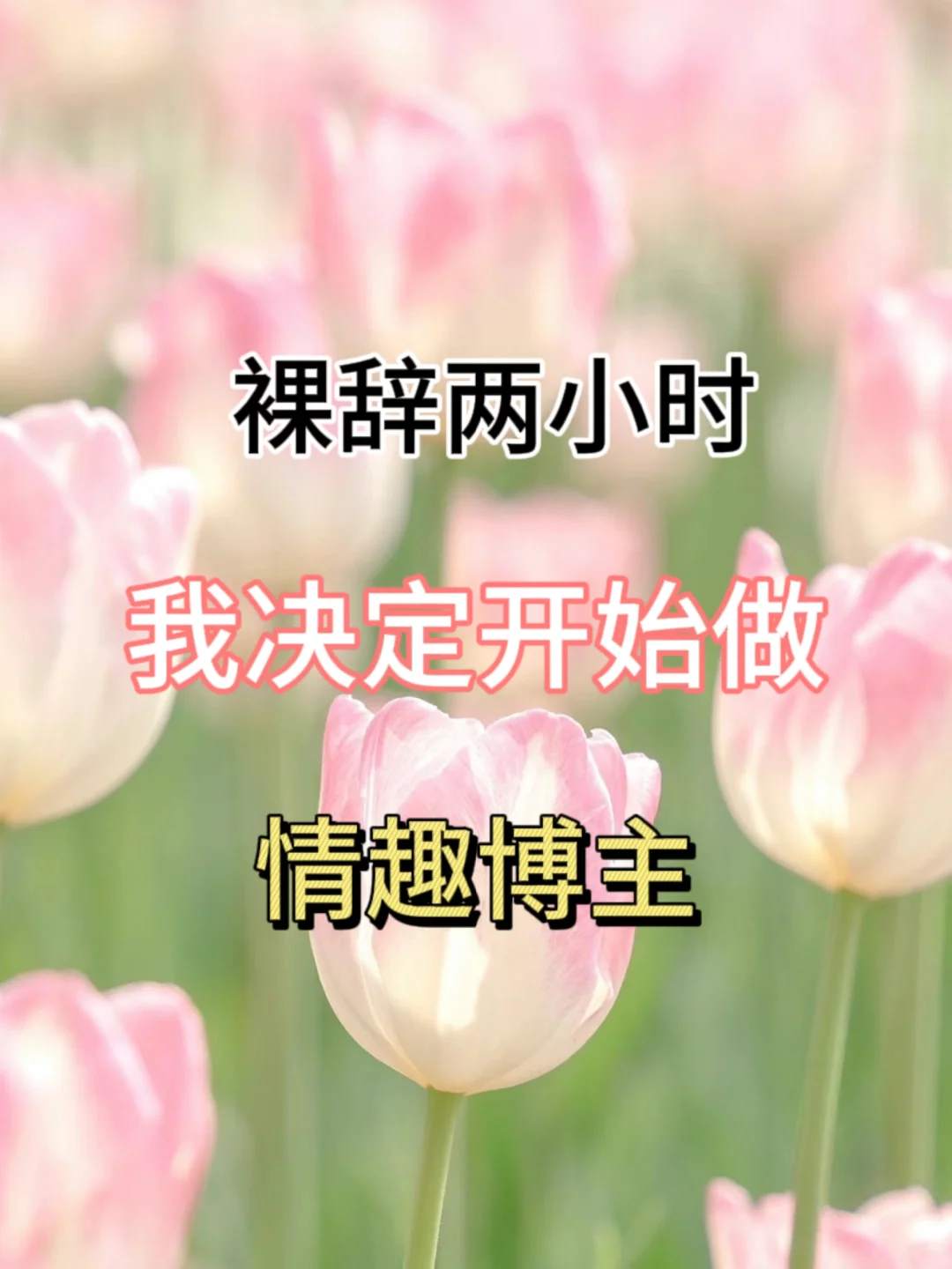 勇敢裸辞后当起了晴qu博主，找到了铁饭碗
