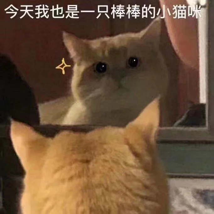 我超级棒！！