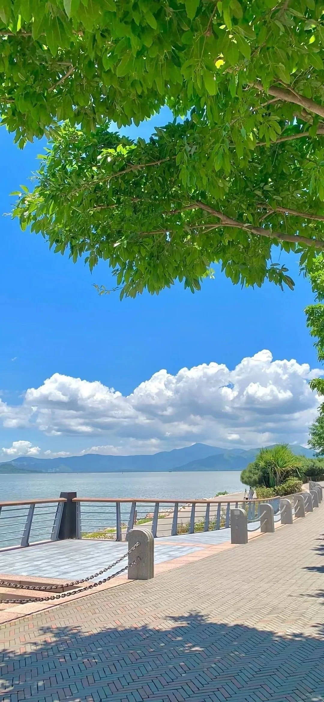 WeChat｜日系蓝天白云风景壁纸⛈️☁️