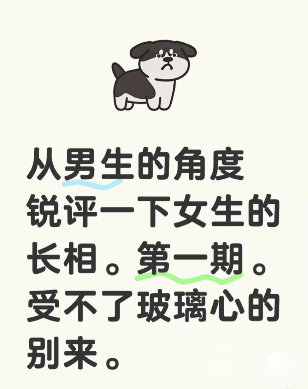 颜值打分（非常主观）