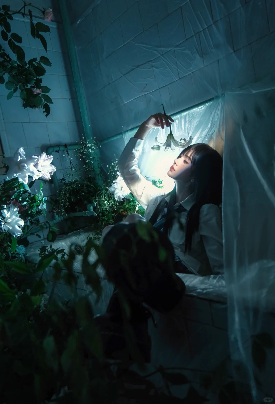 我镜头下的鞠婧祎图文版
