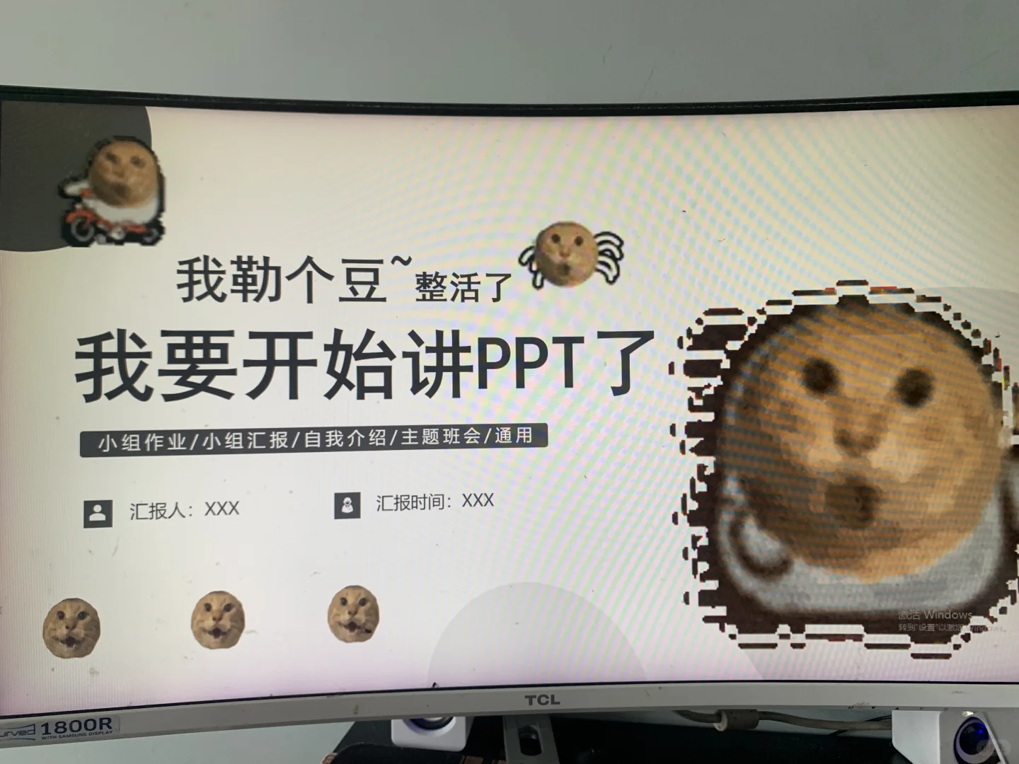 动态表情包耄耋猫通用ppt模板
