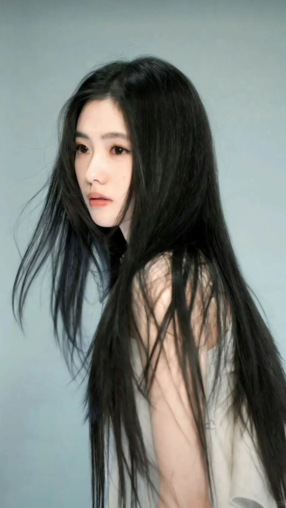 黑长直 存子的统治区