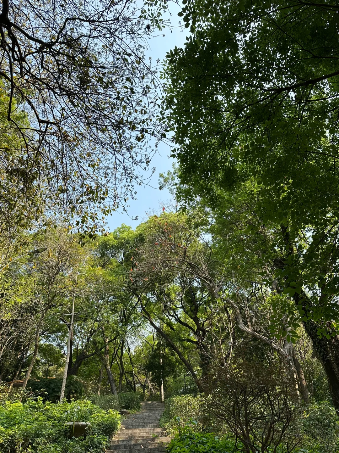 户外吸氧记🍃