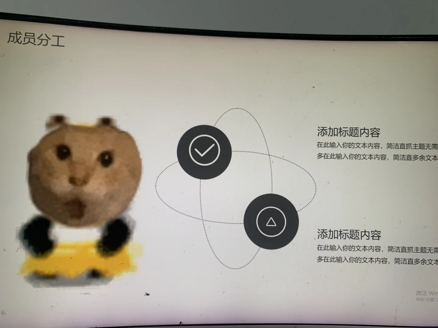 动态表情包耄耋猫通用ppt模板