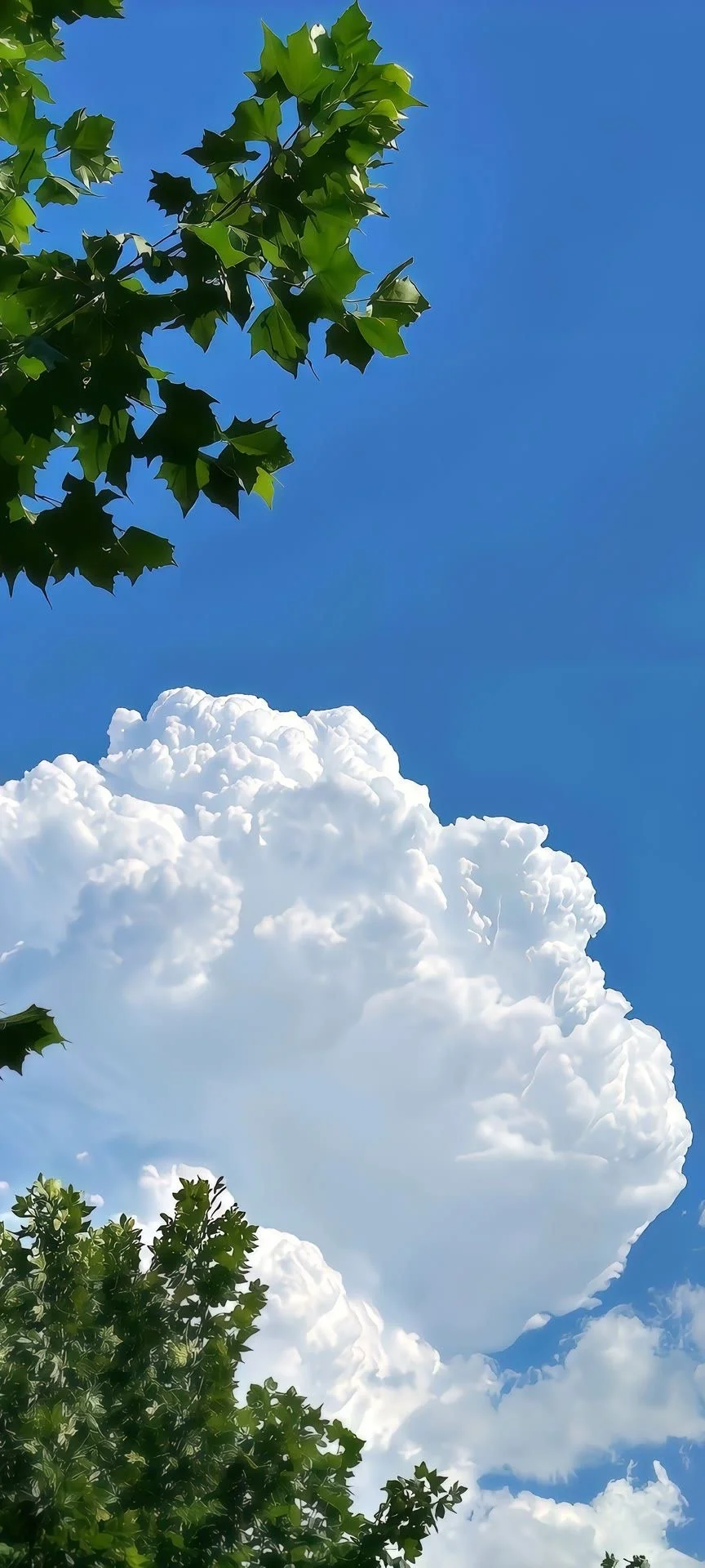 WeChat｜日系蓝天白云风景壁纸⛈️☁️