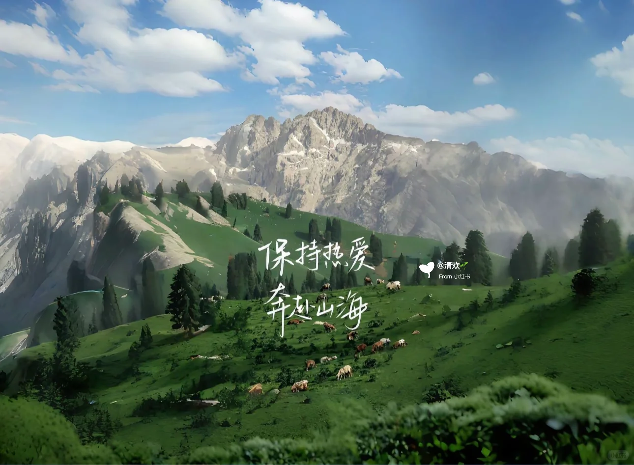 iPad丨电脑壁纸 治愈系风景