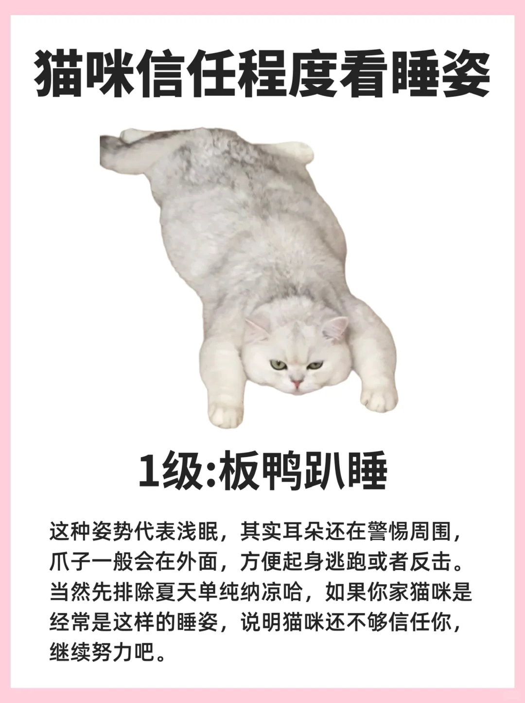 6种睡姿，看猫咪对你的信任程度有多少