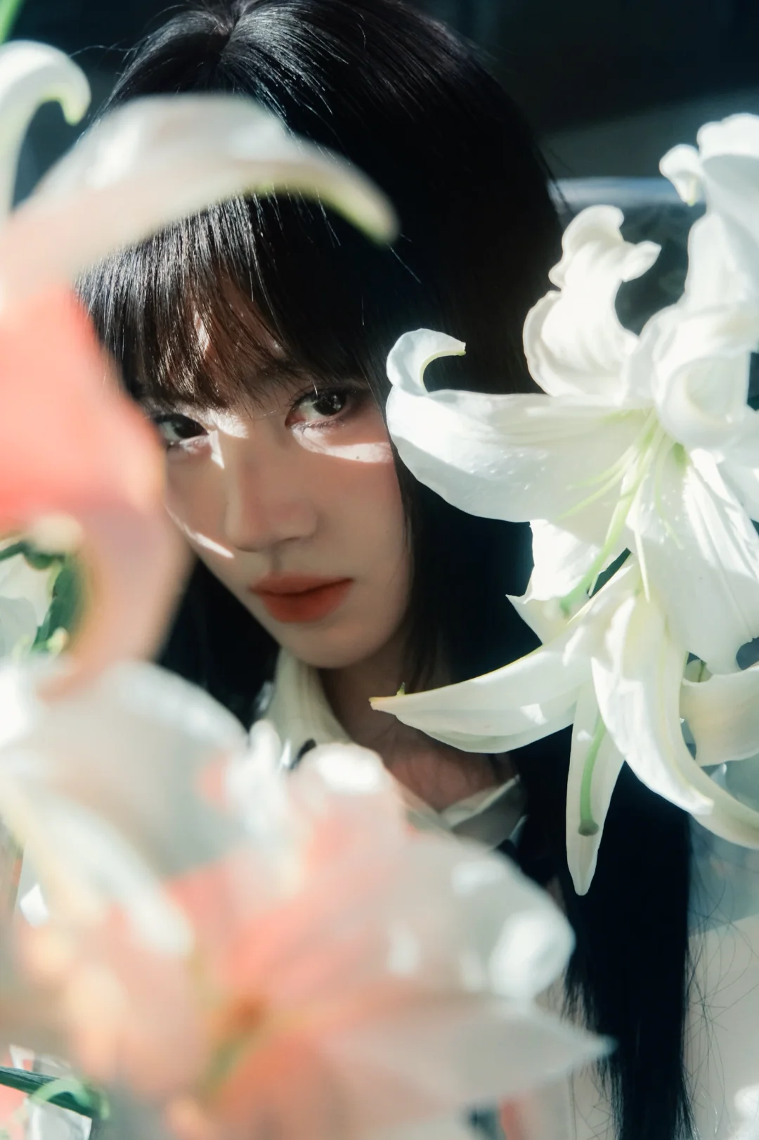 我镜头下的鞠婧祎图文版