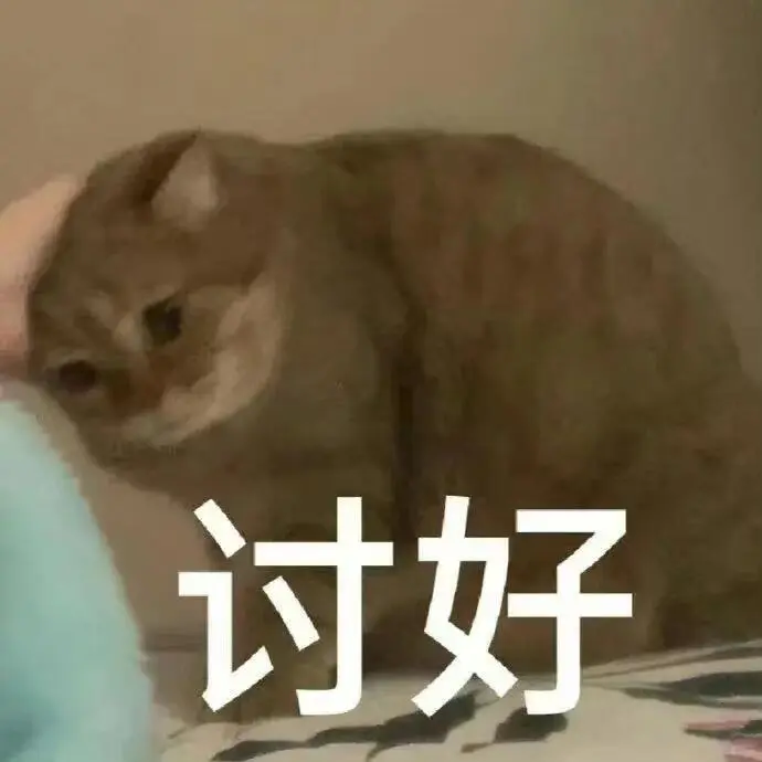 超可爱的猫猫表情包又来啦～