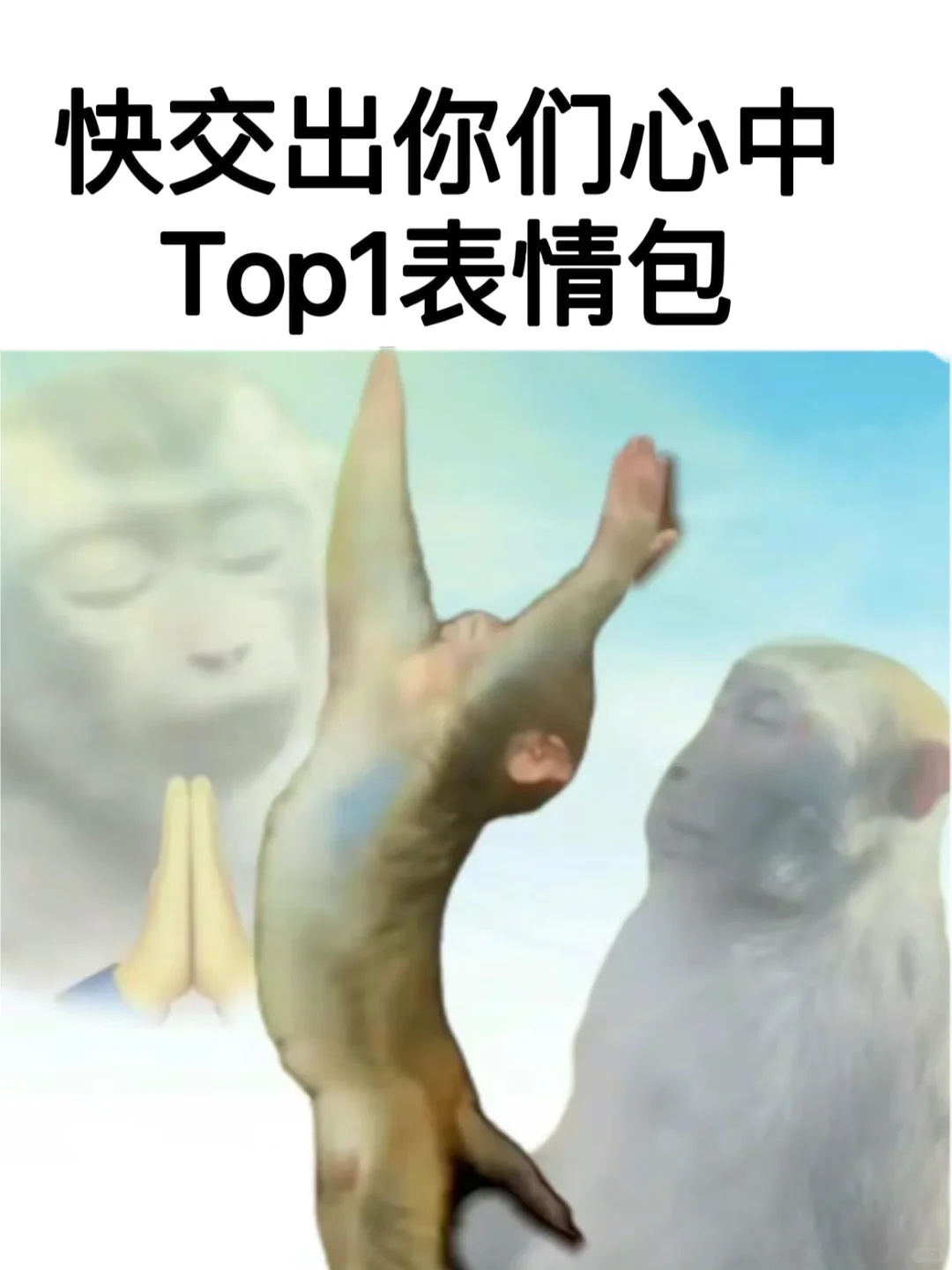 来进货啦！！囤点