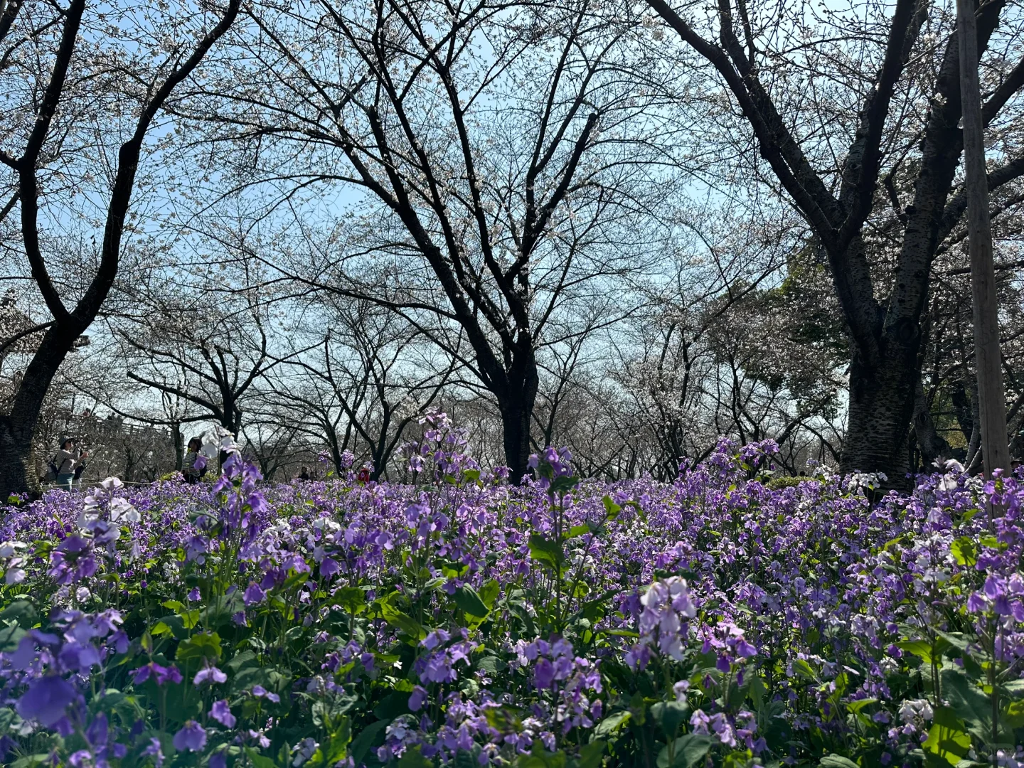 多接触自然