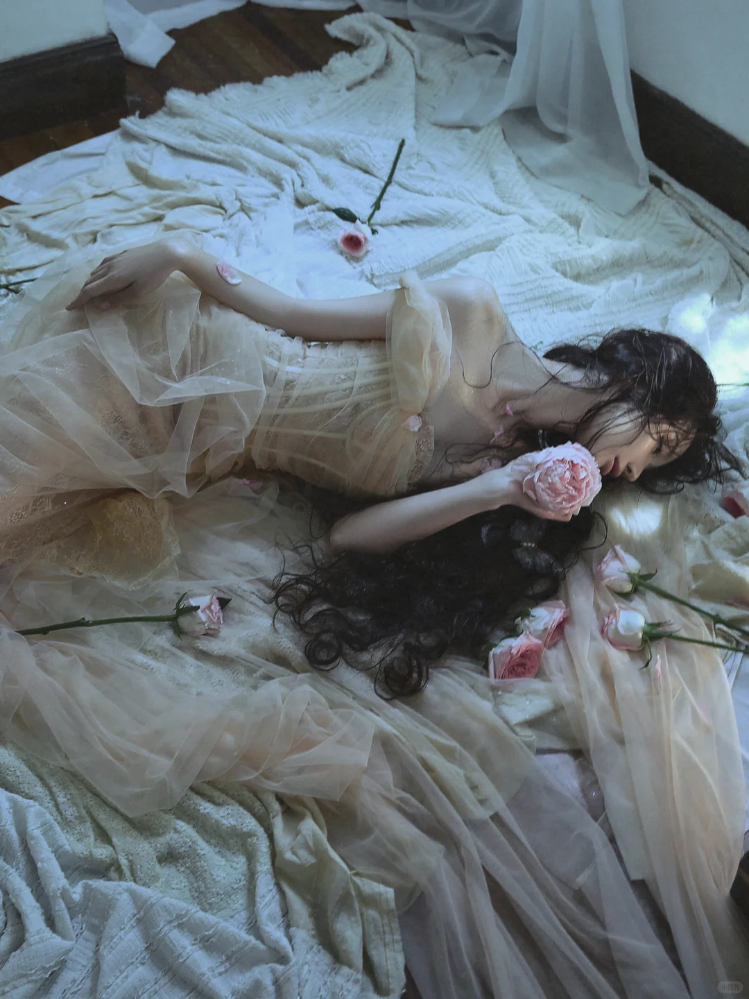 【4】被光眷顾的瞬间