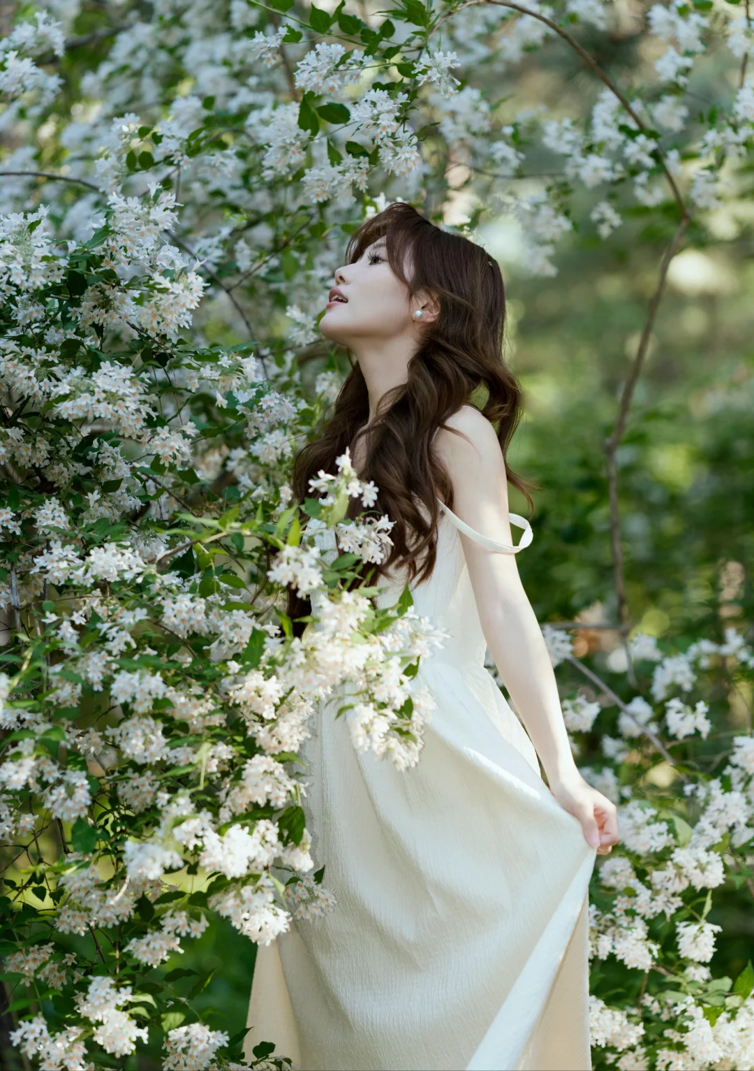 花季女人花