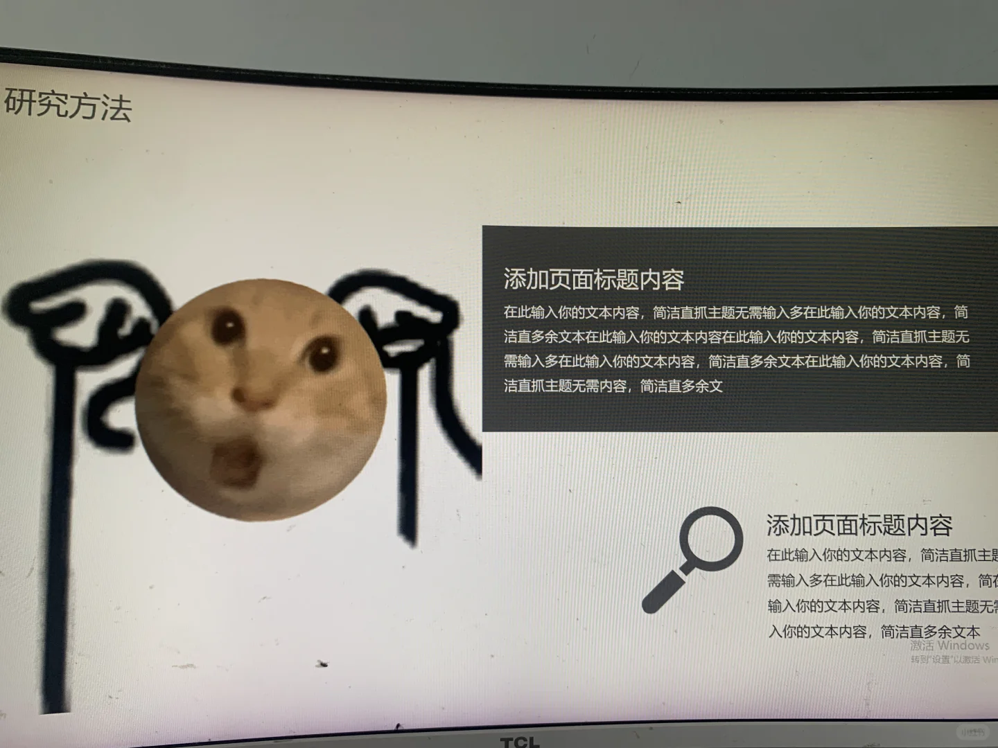 动态表情包耄耋猫通用ppt模板