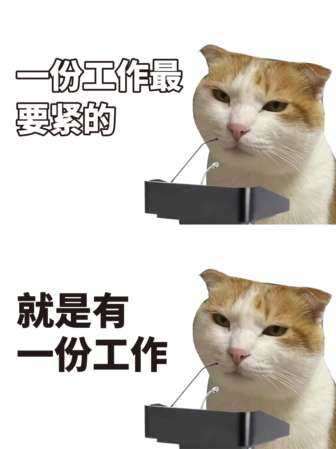 年底了跟大家说点真心话