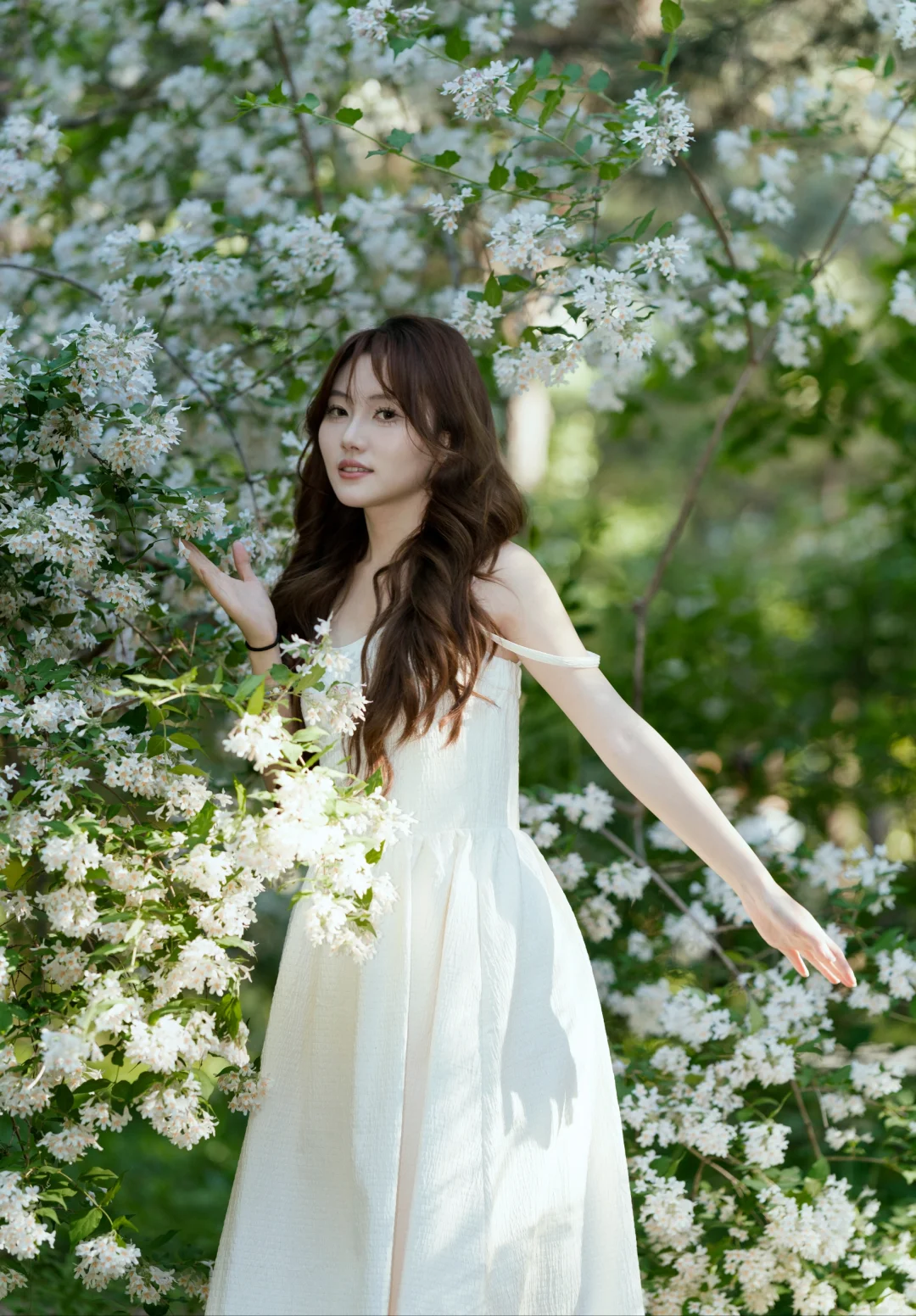 花季女人花