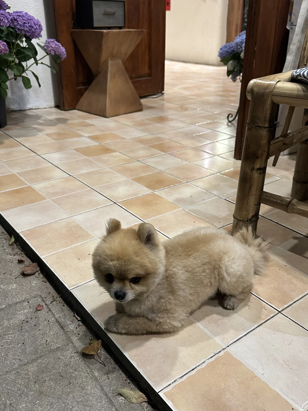 简简单单就很好看呀