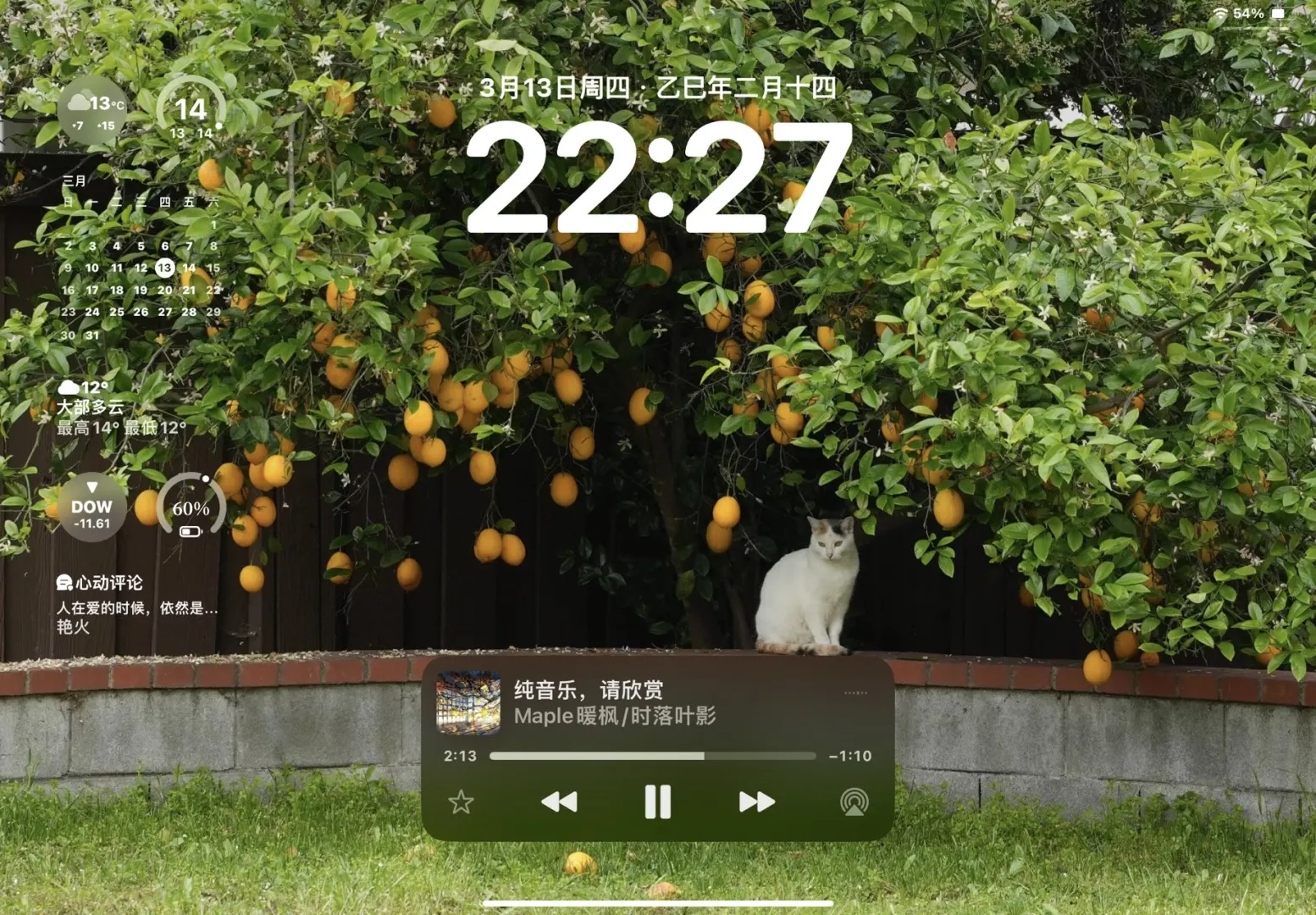 iPad高清壁纸 |哇 太好看了！绝美氛围感 ！