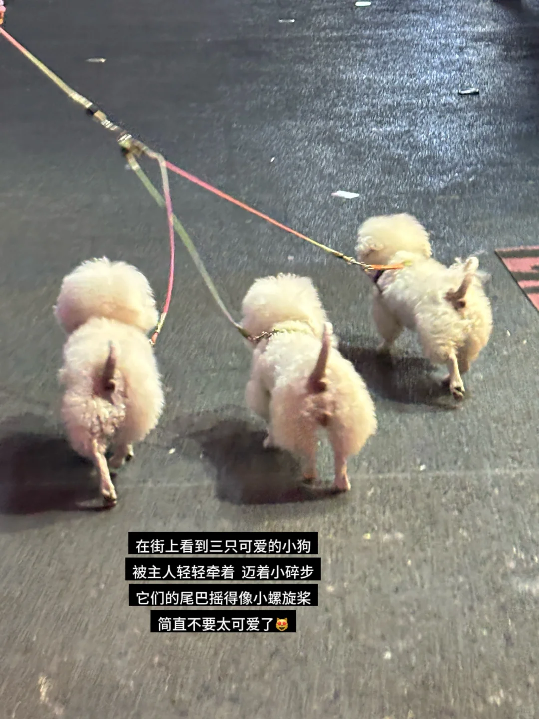 plog:)) 卡路里充值成功的证据在此！