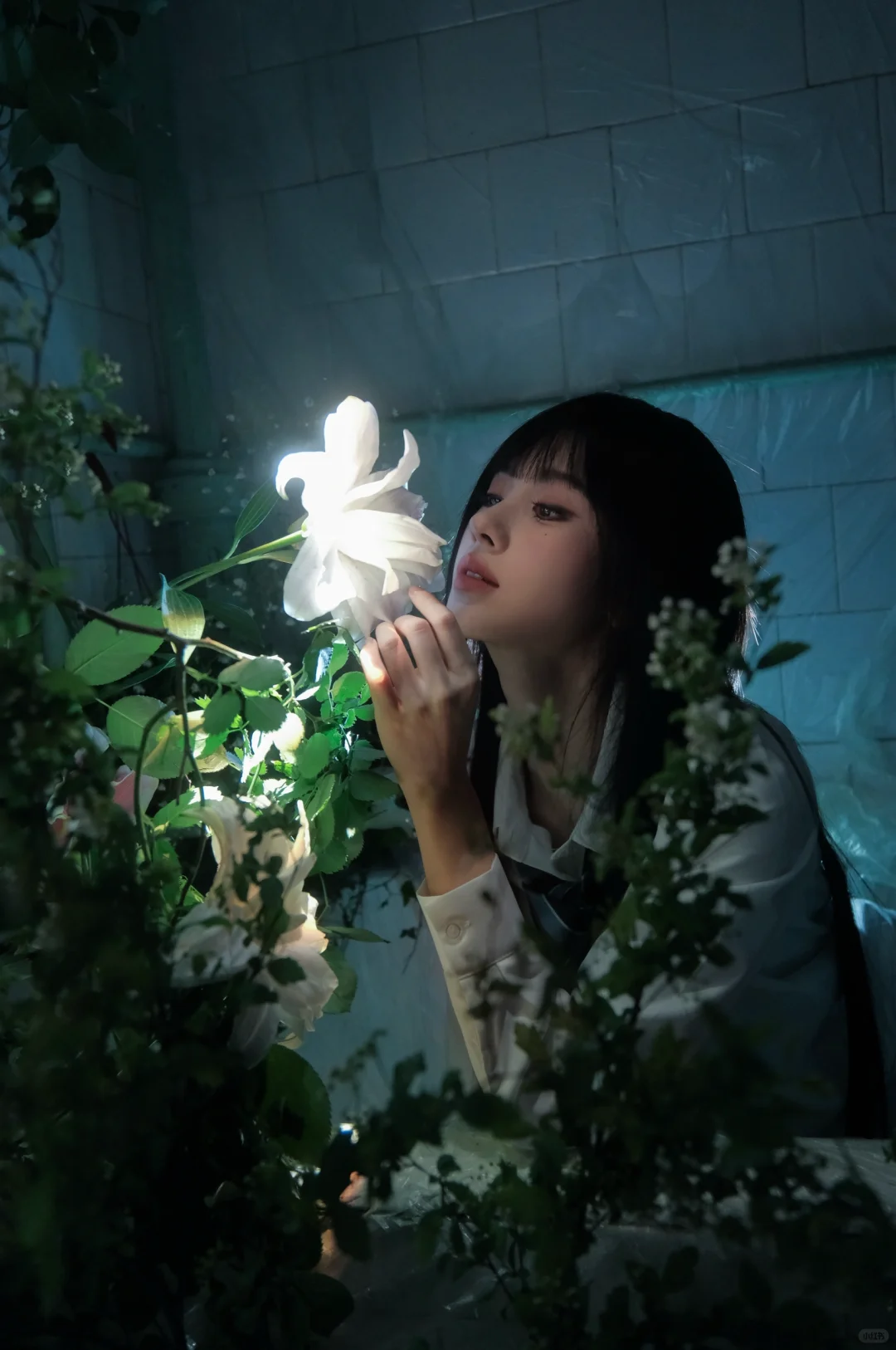 我镜头下的鞠婧祎图文版