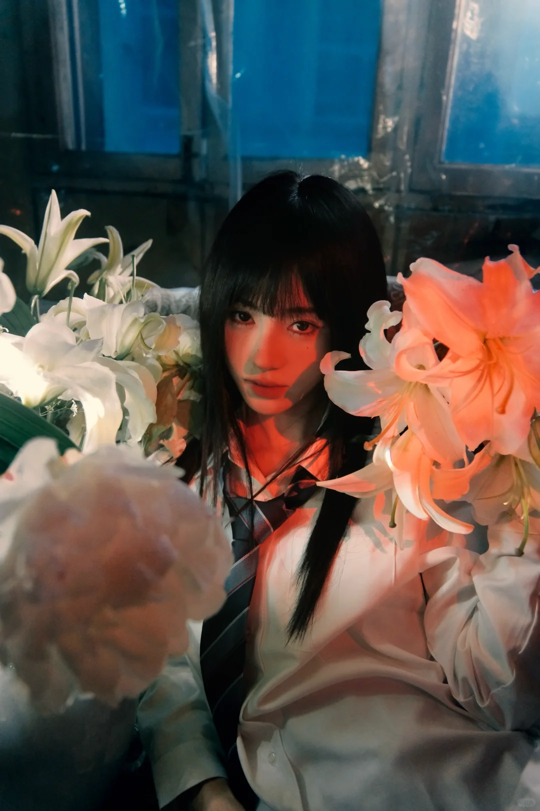 我镜头下的鞠婧祎图文版